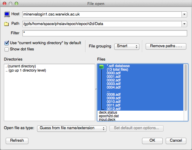  VisIT load file dialog showing files on remotehost